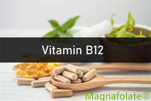 Vitamin B12: Introduktion, fordel, sundhed