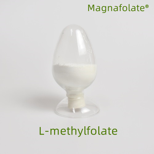 Hvad er l-methylfolat?