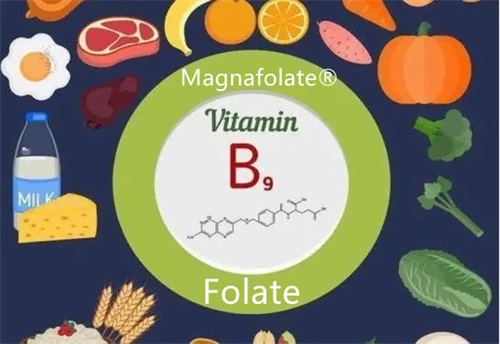 Folinsyre, folat og L Methylfolat