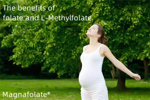 Fordelene ved folat og L-methylfolat