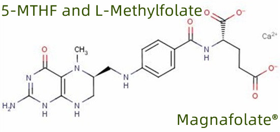 5-MTHF og L-methylfolat