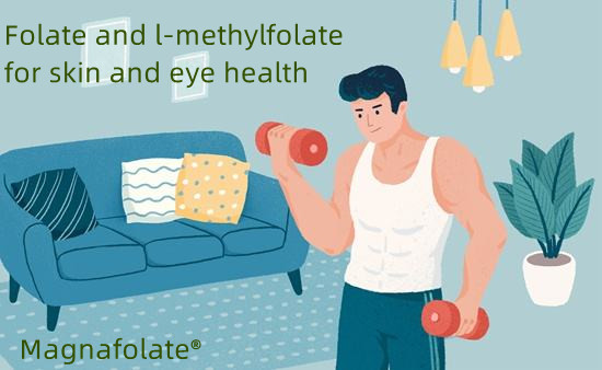 Folat og l-methylfolat til hud- og øjensundhed