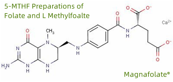 5-MTHF-præparater af folat og L-methylfoalte