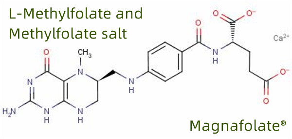 Global producent og leverandør af L Methylfolate