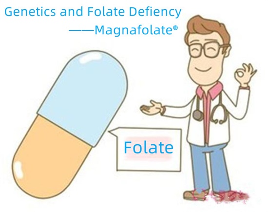 Genetik og folatmangel - Magnafolat