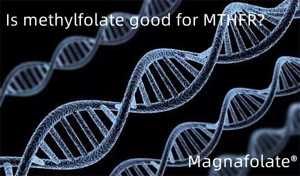 Er methylfolat godt for MTHFR?