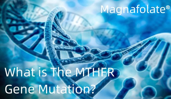 Hvad er MTHFR-genmutationen?