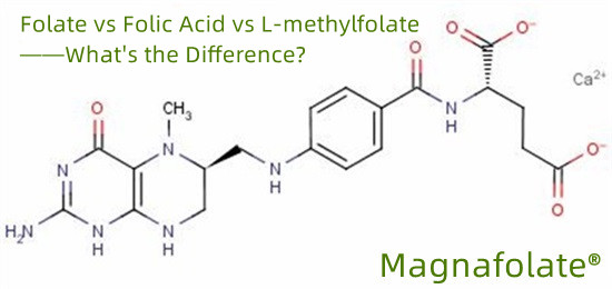 Er methylfolat en form for folinsyre?