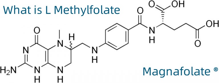 Hvad er L-methylfolat?