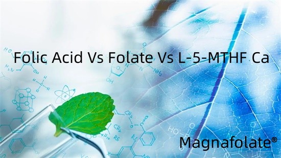 Folinsyre vs folat vs L-5-MTHF Ca