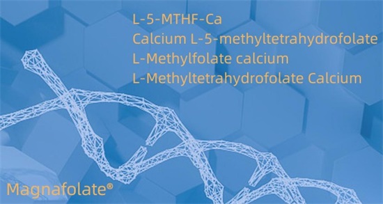 Calcium L-5-methyltetrahydrofolat Cas151533-22-1