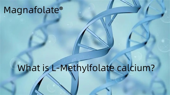 Hvad er L-methylfolat-calcium?