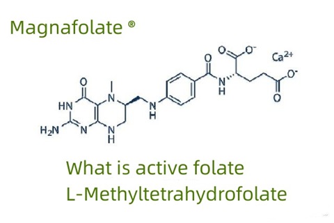 Hvad er aktivt folat og L-methyltetrahydrofolat