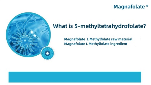 Hvad er 5-methyltetrahydrofolat?