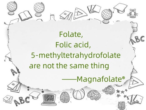 Folat, folinsyre og 5-methyltetrahydrofolat er ikke det samme