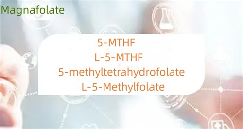 Hvad er forskellen mellem 5-methyltetrahydrofolat og folat