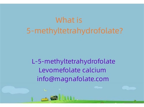 Hvad er 5-methyltetrahydrofolat?