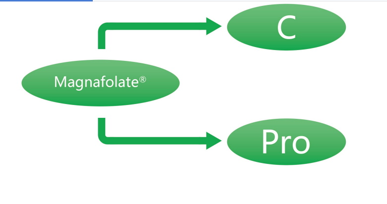 Magnafolat C og Pro-L-Methylfolat Calcium