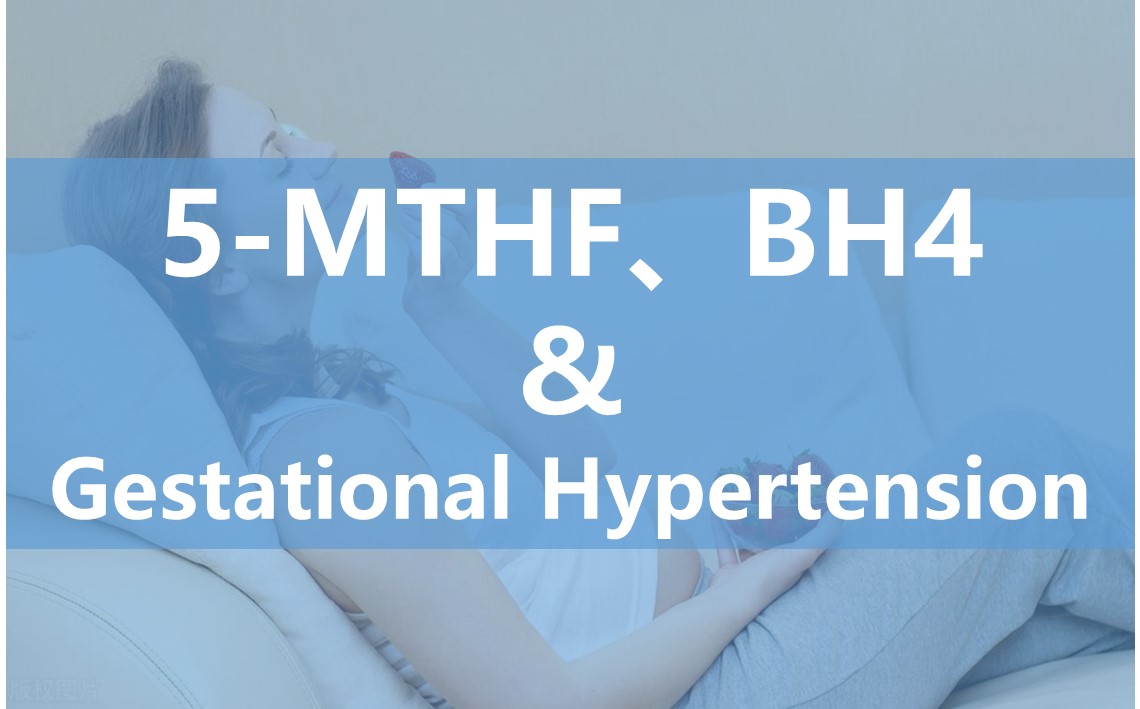 Virkningen af ​​6s-5-methyltetrahydrofolat på endotelcellefunktion under graviditet og dens potentiale i behandlingen af ​​svangerskabshypertension