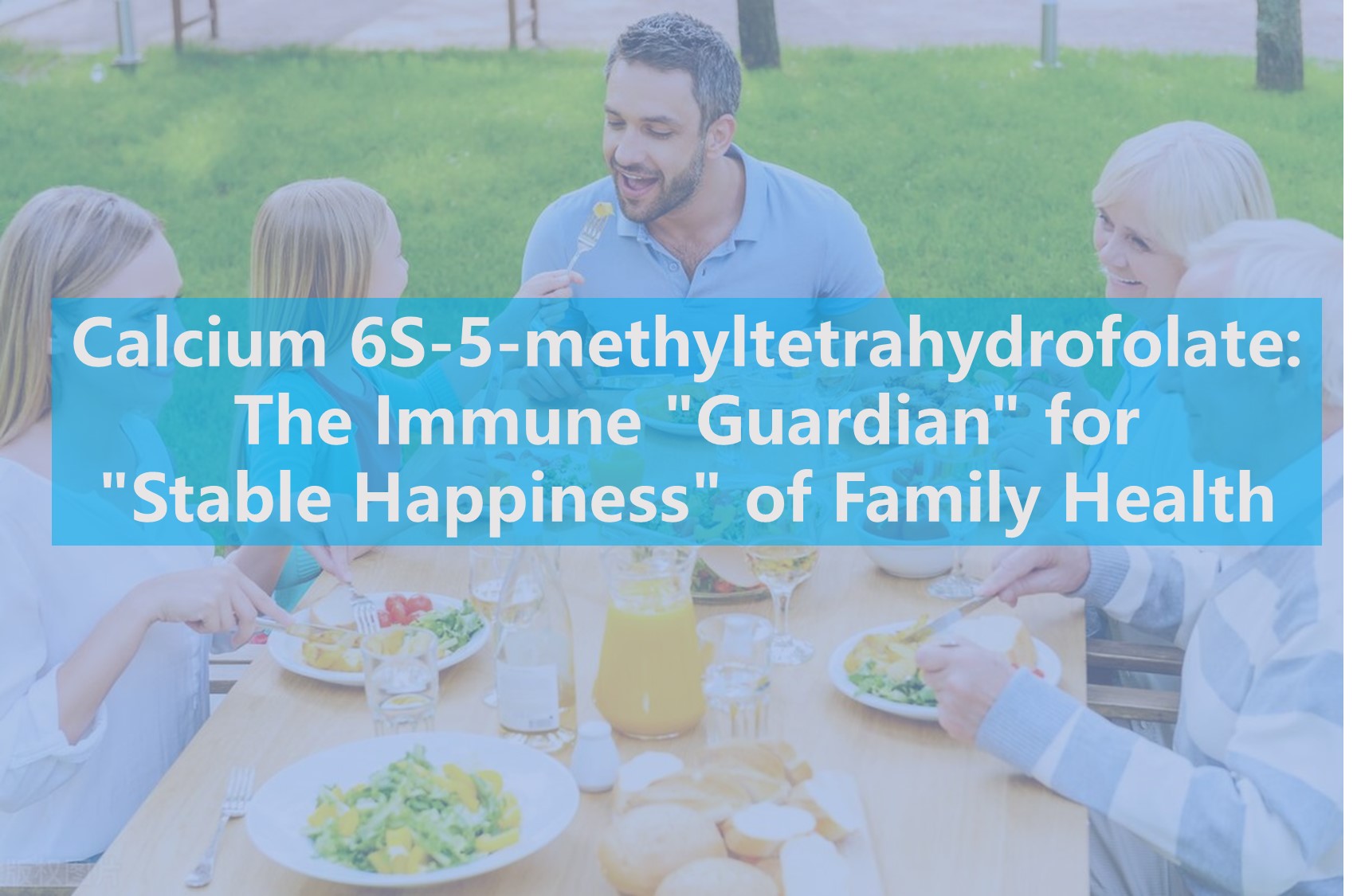 Calcium 6s-5-Methyltetrahydrofolat: The Immun 