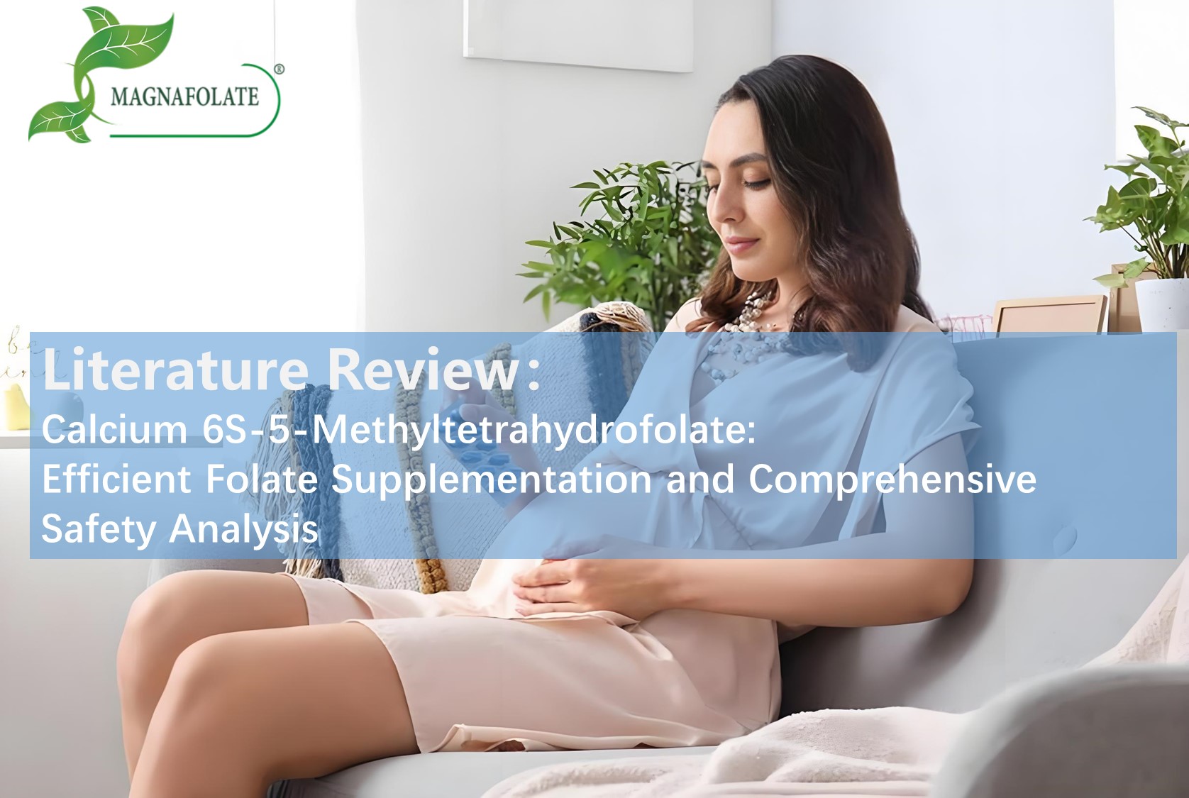 Litteraturanmeldelse: Calcium 6s-5-methyltetrahydrofolat: Effektiv folattilskud og omfattende sikkerhedsanalyse