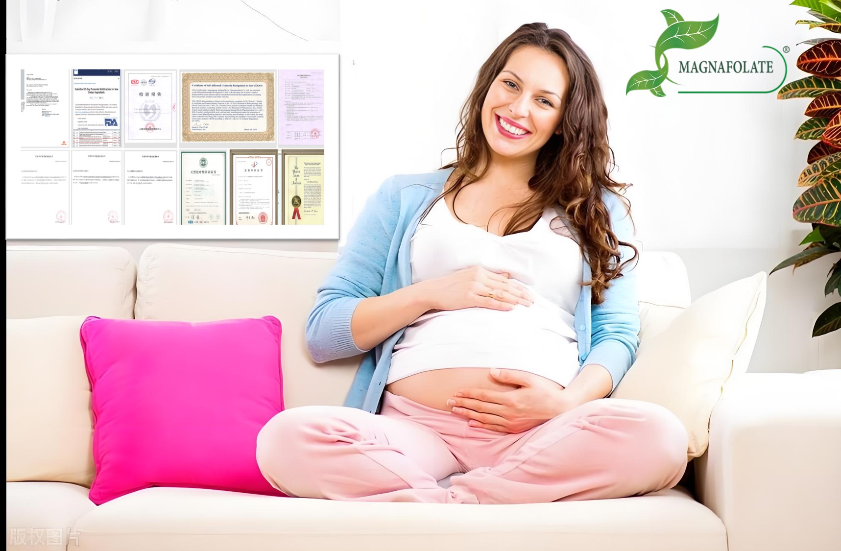 Oversøiske licensindtægter modtaget | Jinkang Hexin når dobbelt milepæl inden for teknologi og marked